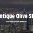 Antique-Olive-Std-Nord-Italic-Font
