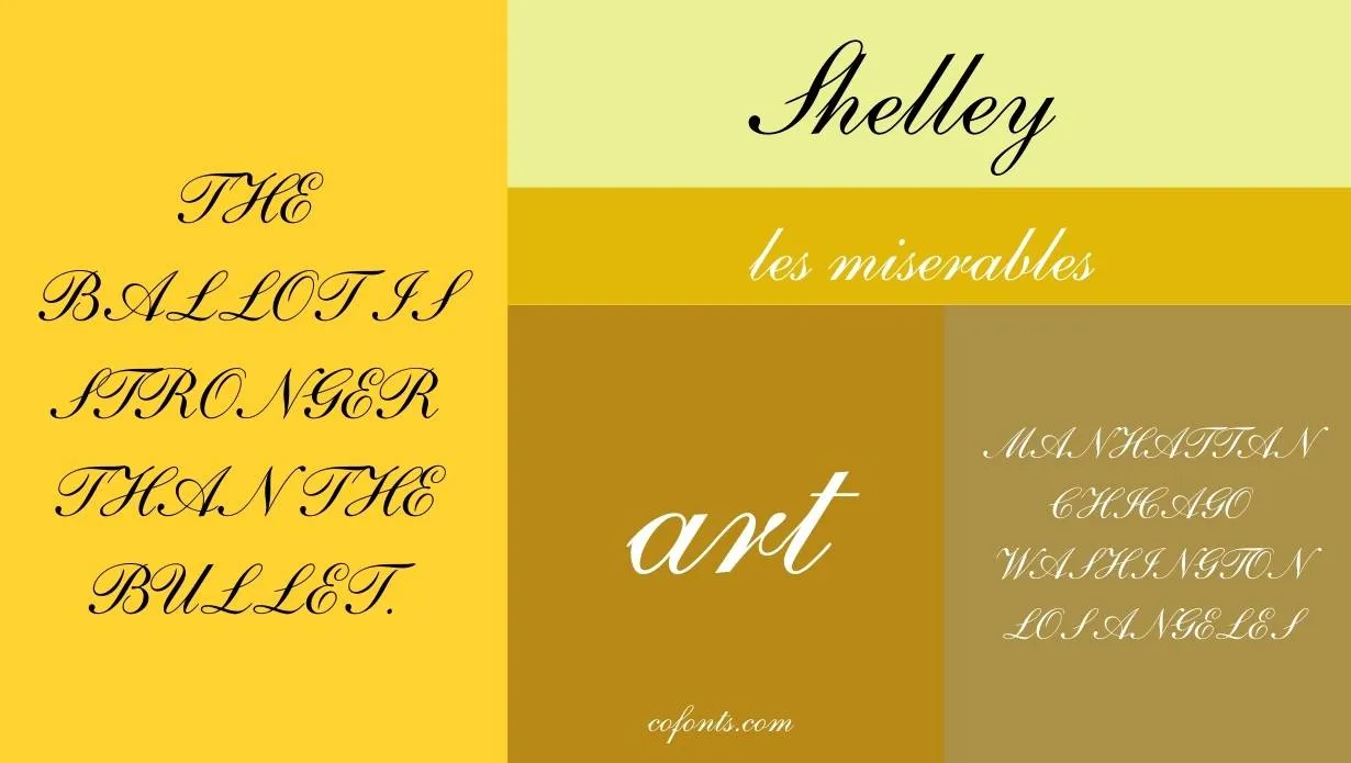 shelley font