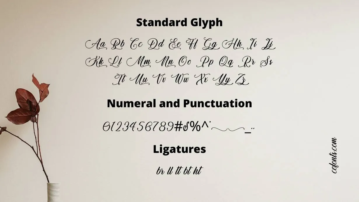 Qwerty Ability Font Family View