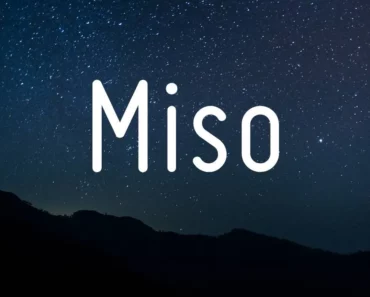 Miso Font