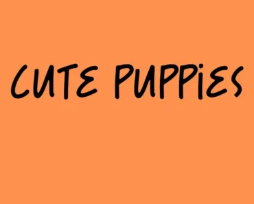 Cute Puppies Font